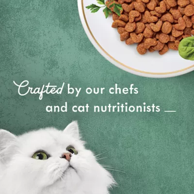 Product Purina® Fancy Feast® Medleys - Dry Cat Food, Chicken, 6.5 LB