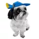 Product Disney Pixar Finding Dory Pet Hat