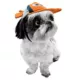 Product Disney Pixar Finding Nemo Pet Hat