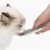 Catit Creamy Spoon image thumbnail 4