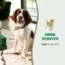 Nature's Miracle Dog Urine Remover, 24 oz image thumbnail 3