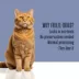 Whole Life Pet Just One Shrimp Cat 0.7 OZ image thumbnail 5