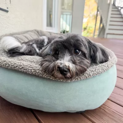 Product Carolina Pet Company Microfiber & Tipped Berber Comfy Cup Dog Bed