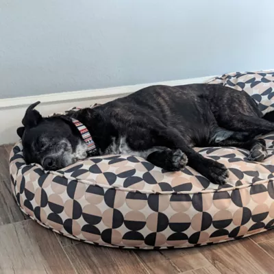 Carolina Pet Company Oval Lounger Dog Bed - Image 7