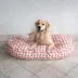 Carolina Pet Company Oval Lounger Dog Bed image thumbnail 6