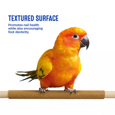 All Living Things® Sand Bird Perch Cover - Bird Cage Cover for Medium Pet Birds - 3pk - Image 5