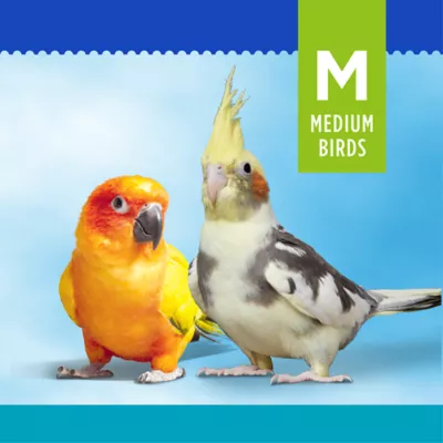Product All Living Things® Pumice Bird Perch
