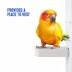 All Living Things® Pumice Bird Perch - Bird Beak & Nail Care for Medium Birds image thumbnail 5