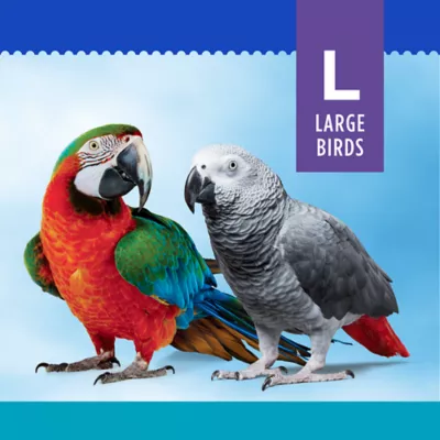 All Living Things® Bagel Cascade Bird Toy - Shredding Bird Toy for Large Pet Birds - Image 2