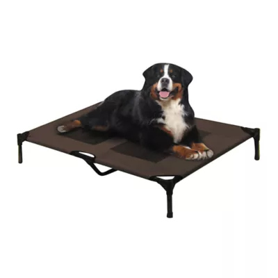 Arlee Home & Pet Cooling Elevated Mesh Pet Cot - Image 1