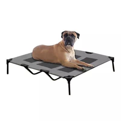 Arlee Home & Pet Cooling Elevated Mesh Pet Cot - Image 1