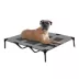 Arlee Home & Pet Cooling Elevated Mesh Pet Cot image thumbnail 1