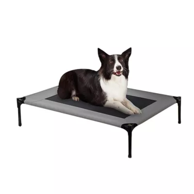 Product Arlee Home & Pet Cooling Elevated Mesh Pet Cot