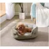 Arlee Home & Pet Cozy Orthopedic Eco-Friendly Durable Pet Bed image thumbnail 1
