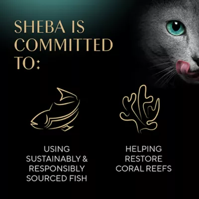 Product SHEBA Perfect Portions Gravy Indulgence - Salmon, White Fish, 31.7 OZ