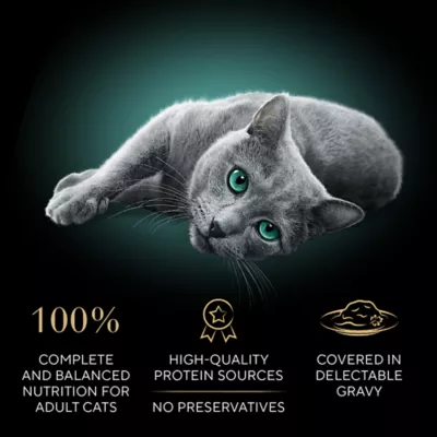 Product SHEBA Perfect Portions Gravy Indulgence - White Fish, 2.64 OZ
