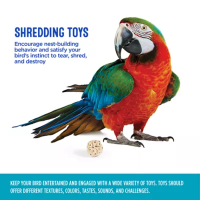 Product All Living Things® Sola Ball Bird Toy
