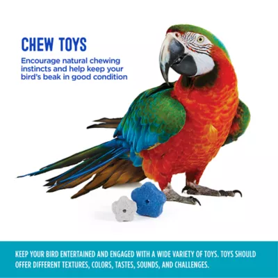 Product All Living Things® Bird Pumice Chew 2 Count