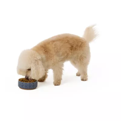 Top Paw® Quilted Paws Ceramic Dog Bowl - Image 6