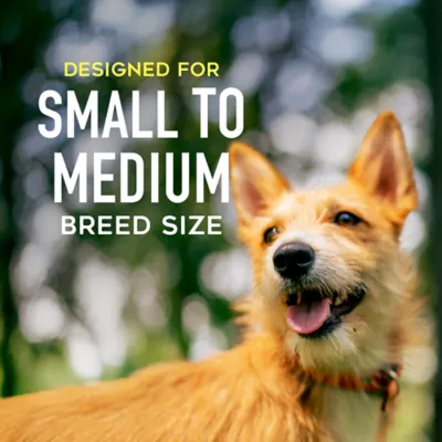 Tiki Dog Savory Paté Wet Dog Food - Image 5