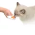 Catit Creamy Salmon Flavour Cat Treat, 50 ct image thumbnail 6