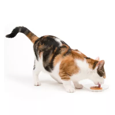Product Catit Creamy Tuna Flavour Cat Treat, 5 ct
