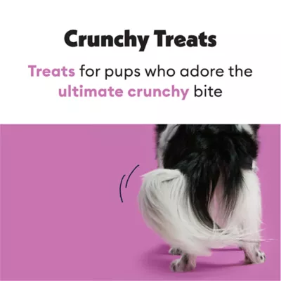 Product Wiggles & Wags Football Decorated Cookie Dog Treat