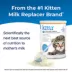 PetAg KMR Kitten Milk Replacer Powder for Kittens, 12 Oz image thumbnail 2