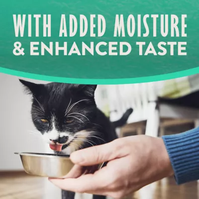 Product Natural Balance Limited Ingredient Wet Cat Food - Pate in Broth, 2.6oz
