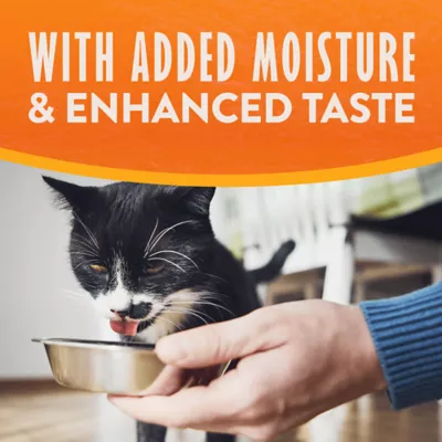 Natural Balance Limited Ingredient Wet Cat Food - Pate in Broth, 2.6oz - Image 7