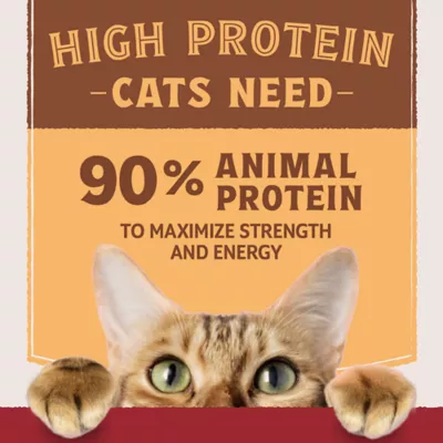 Natural Balance Ultra Protein Wet Cat Food - Protein-Rich Organs Pate, 2.8 oz - Image 5