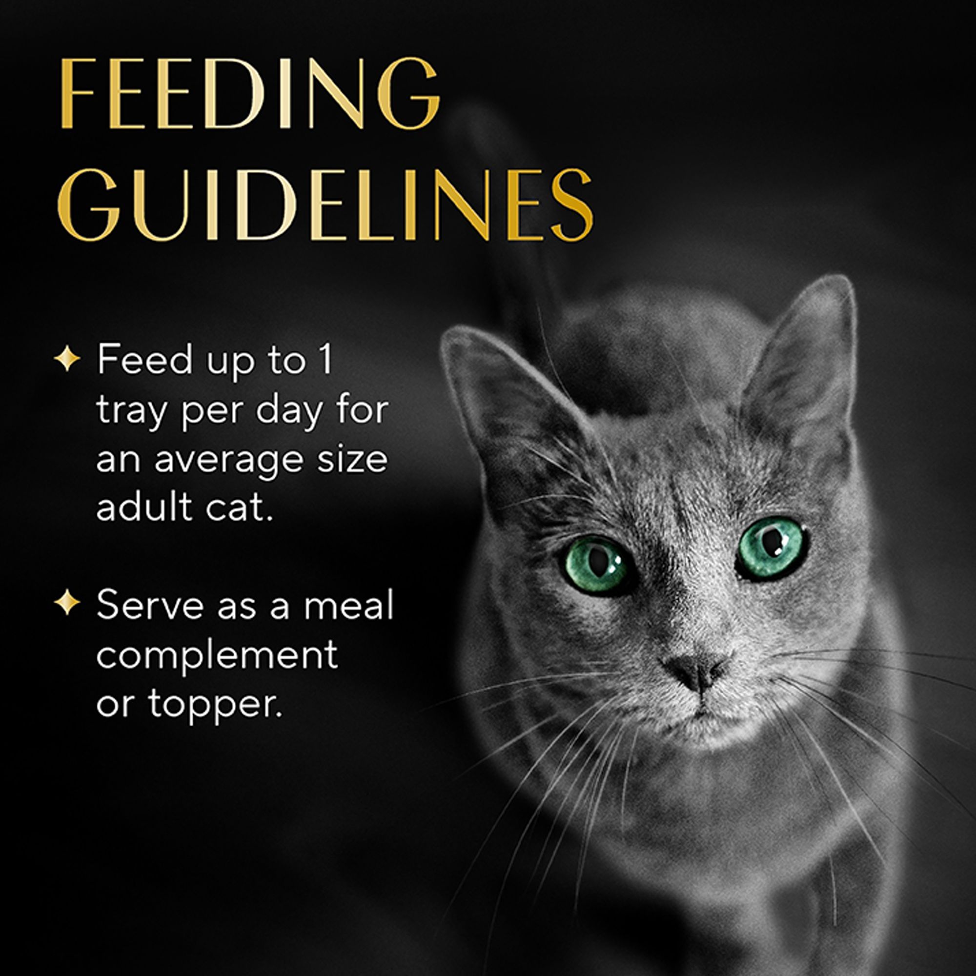 SHEBA Selections Filets In Broth - Premium Cat Meal Complement, 1.3 OZ - thumbnail 6