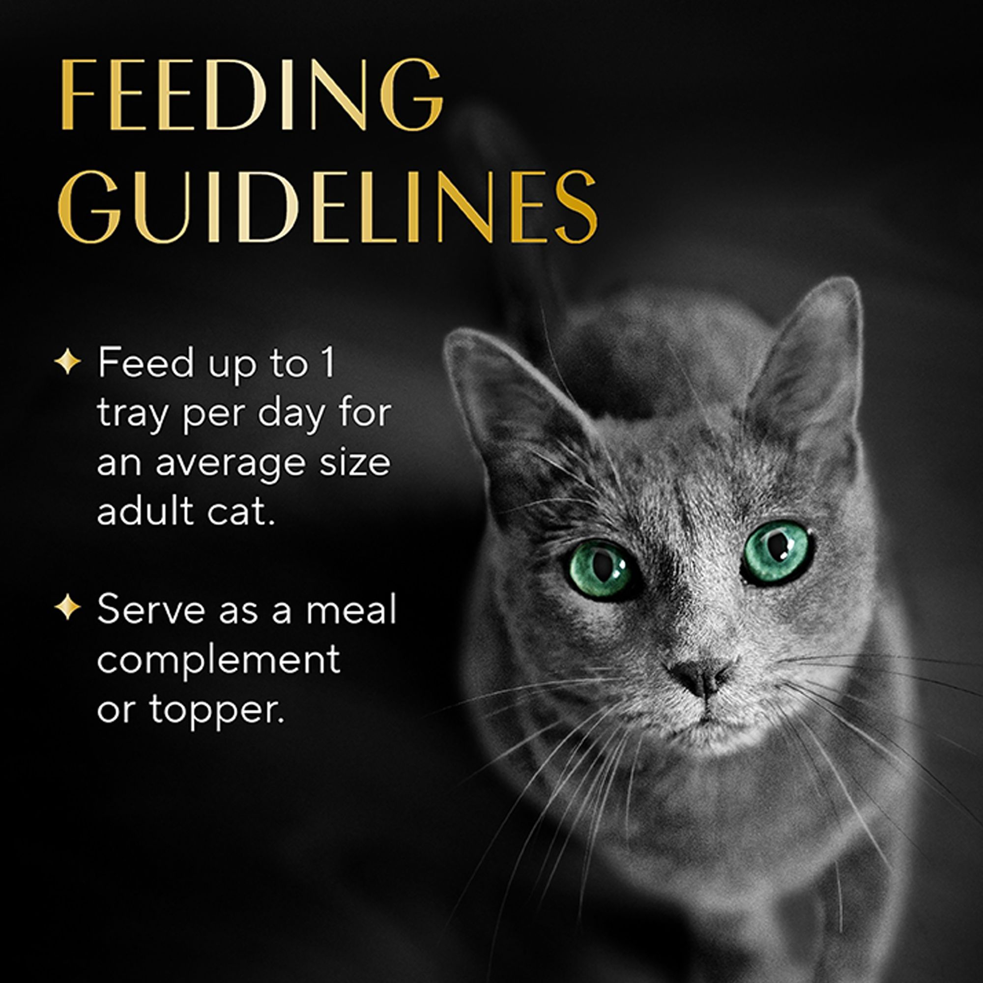 SHEBA Selections Filets In Broth - Premium Cat Meal Complement, Variety Pack, 10.4 OZ - thumbnail 6
