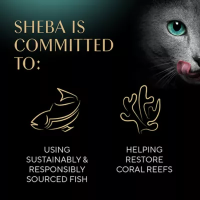 Product SHEBA Cat - Perfect Portions, Gravy Indulgence, 2.64 OZ