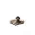 Arlee Home & Pet Step In Orthopedic Eco-Friendly Memory Foam Pet Bed image thumbnail 2