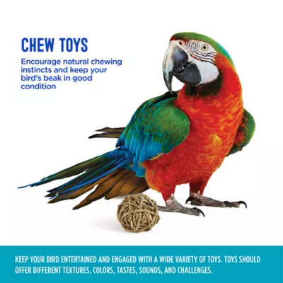 Product All Living Things® Seagrass Ball Bird Toy
