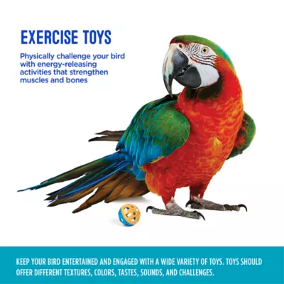 Product  All Living Things® Rattle Ball Bird Toy