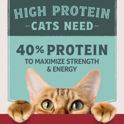 Natural Balance Ultra Protein Dry Cat Food, Real Chicken & Chicken Meal Recipe - Image 6