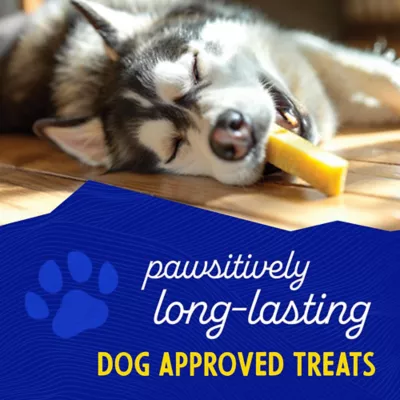Product Himalayan Chews Dog Yak Chew Yak Cheese Bacon Flavor Dog Treat