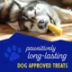 Product Himalayan Chews Dog Yak Chew Yak Cheese Bacon Flavor Dog Treat