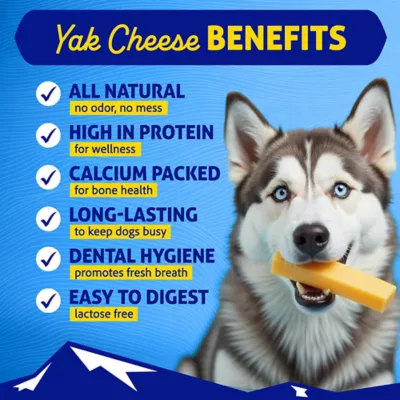 Product Himalayan Chews Dog Yak Chew Yak Cheese Bacon Flavor