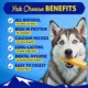 Product Himalayan Chews Dog Yak Chew Yak Cheese Bacon Flavor