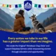 Product Himalayan Chews Dog Yak Chew Yak Cheese Bacon Flavor