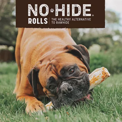 Product Earth Animals Large Chicken Roll Rawhide Alternative Dog Treats 2 Count 7 OZ