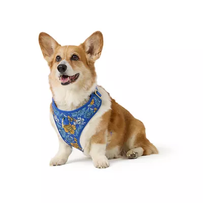 Top Paw® Blue Floral Harness - Image 1
