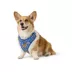 Top Paw® Blue Floral Harness image thumbnail 1