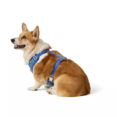 Top Paw® Blue Floral Harness - Image 2