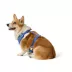 Top Paw® Blue Floral Harness image thumbnail 2