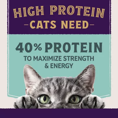 Natural Balance Ultra Protein+ Dry Cat Food, Immune and Digestive Health Real Chicken & Chicken Meal - Image 6