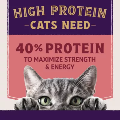 Product Natural Balance Ultra Protein+ Dry Cat Food, Skin/Coat/Digestive Health, Real Salmon & Chicken Meal